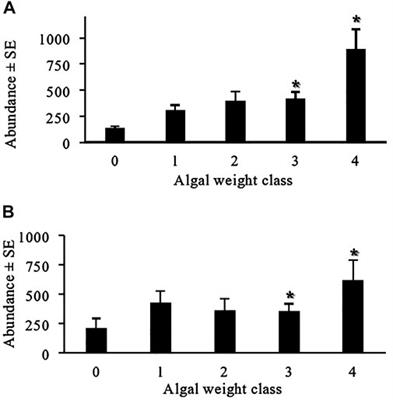 Drift macroalgae positively influence seagrass-associated nekton communities of the northern Gulf of Mexico